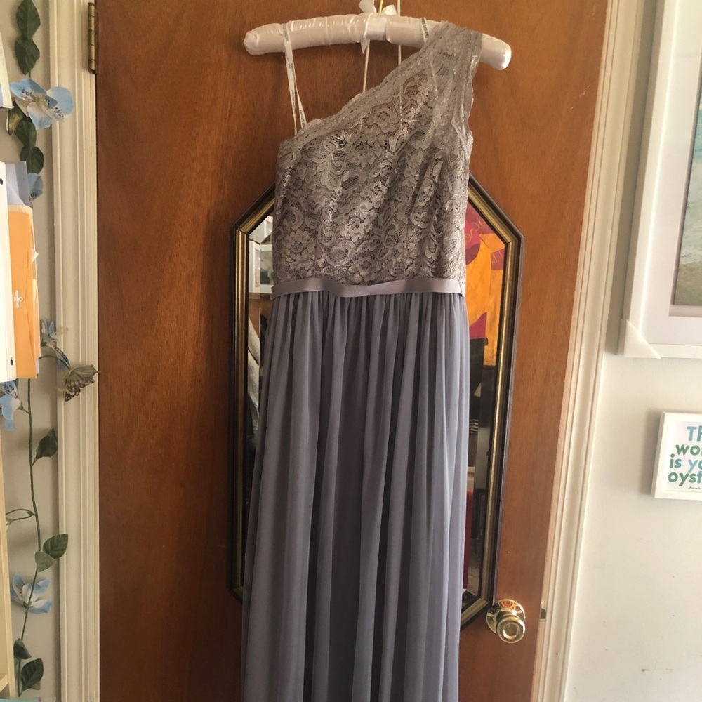 David’s Bridal Silver One Shoulder Lace Mesh Dress